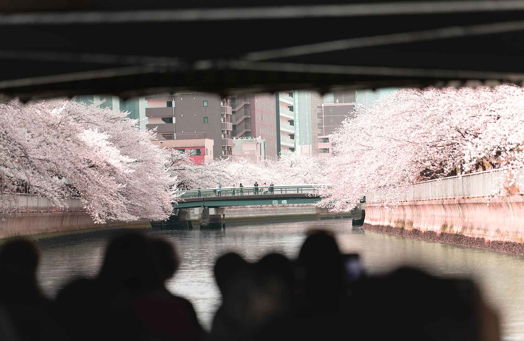 イメージ写真