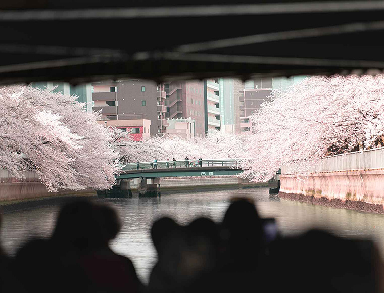 イメージ写真