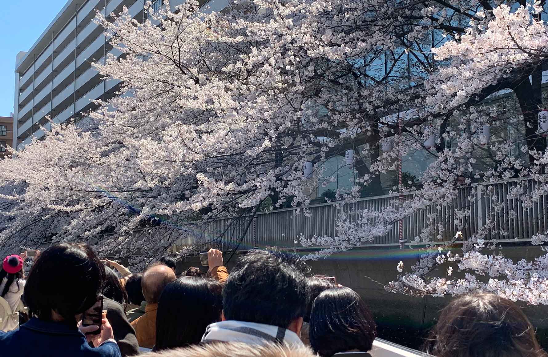 イメージ写真