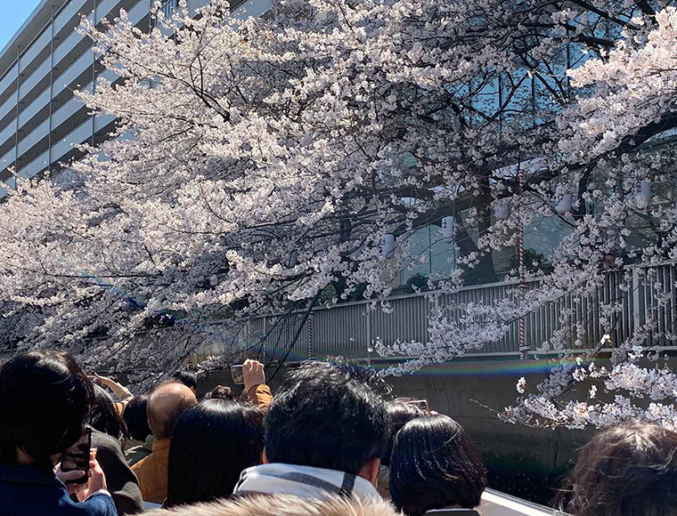 イメージ写真