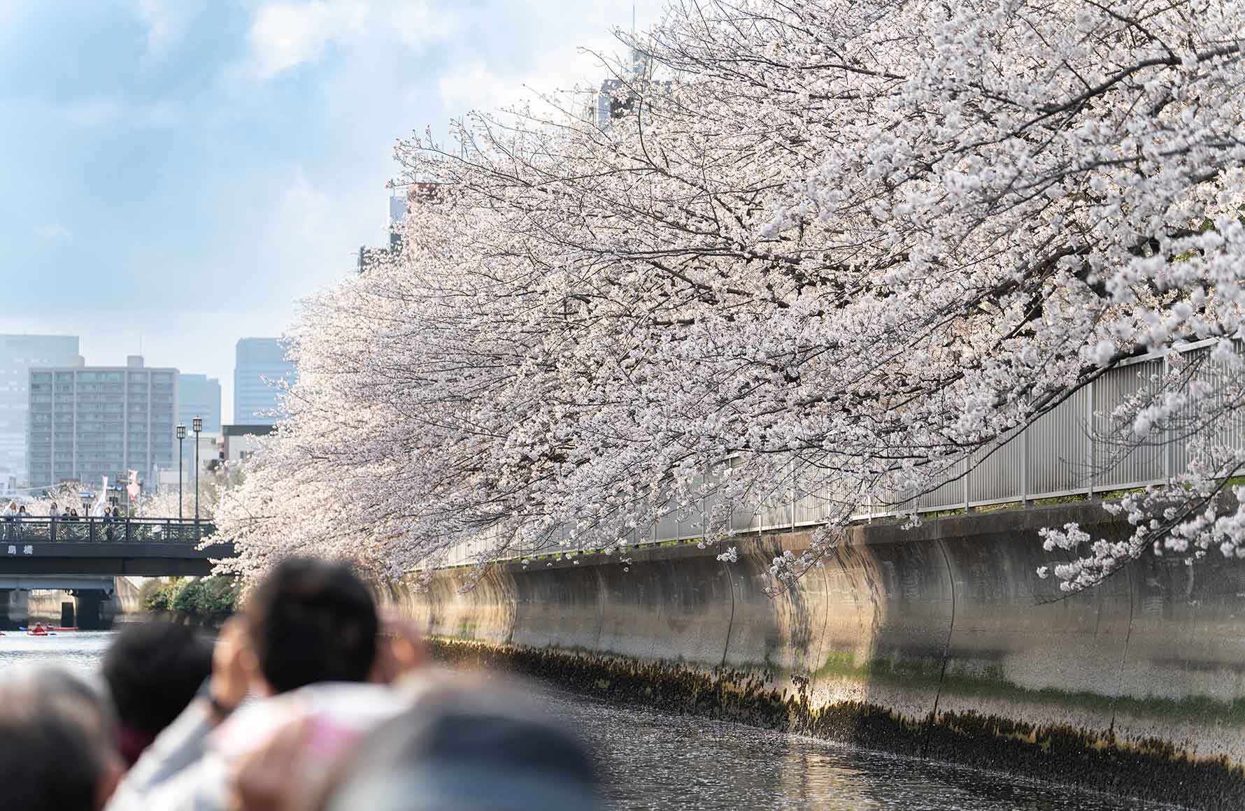 イメージ写真