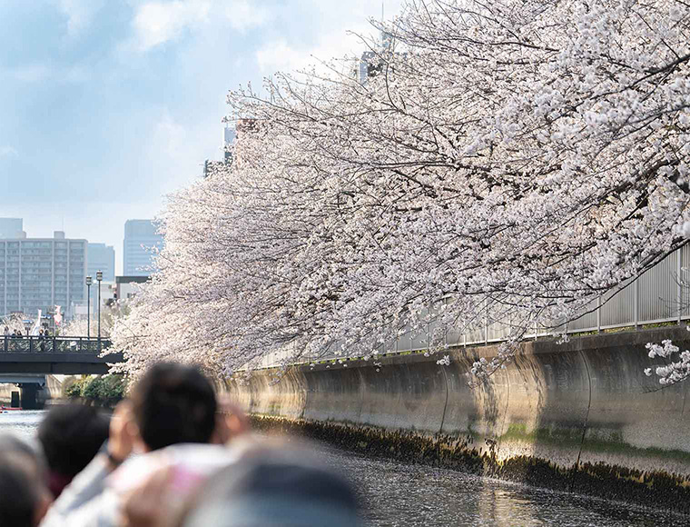 イメージ写真