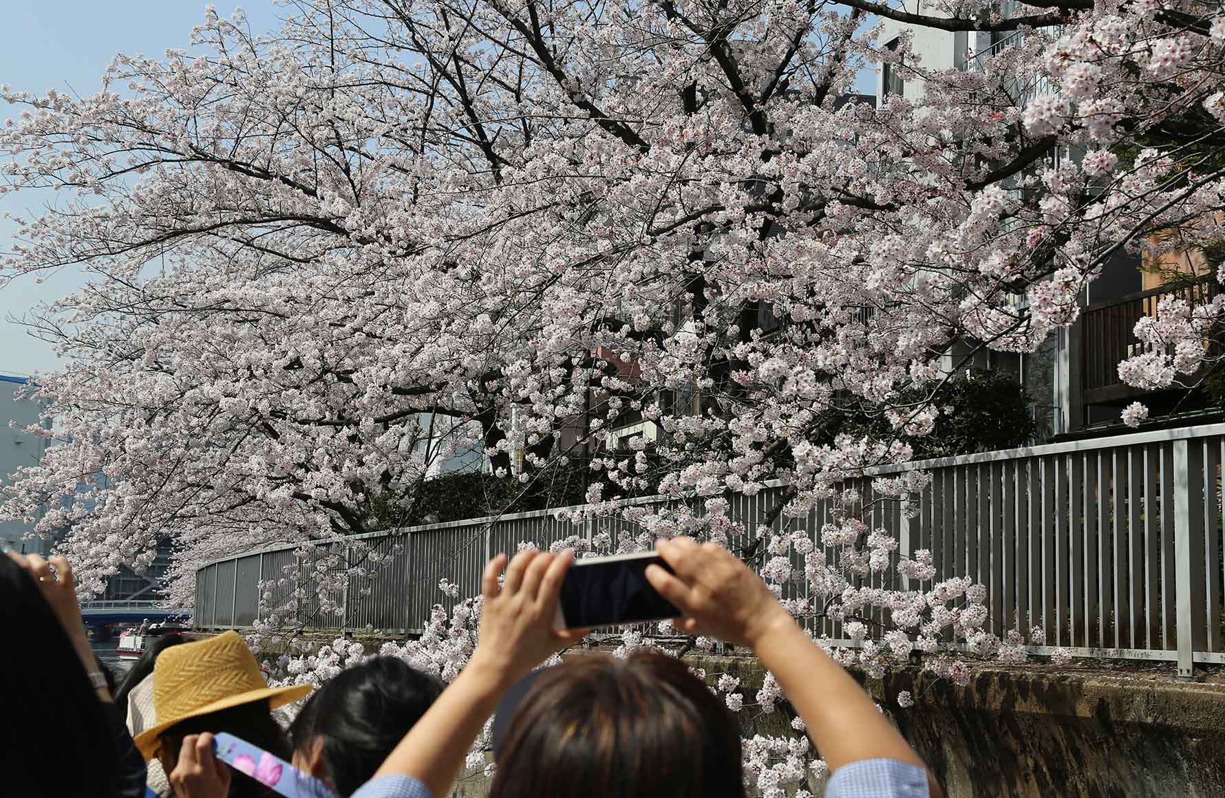 イメージ写真