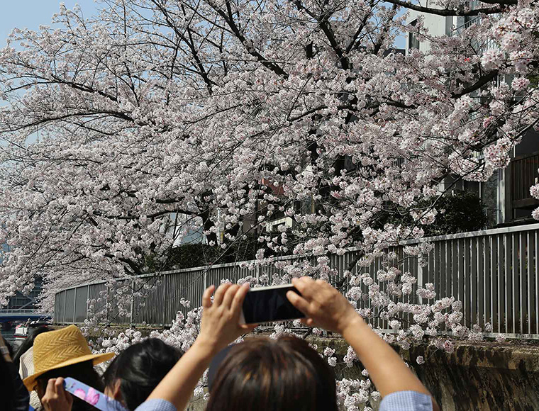 イメージ写真