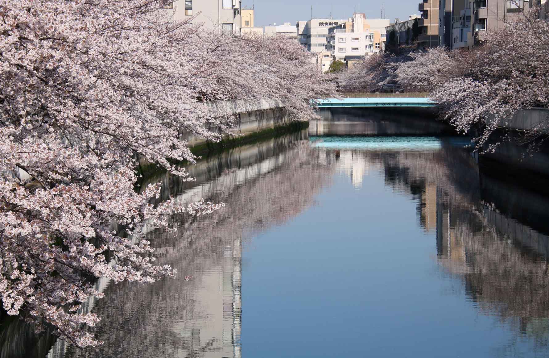 イメージ写真
