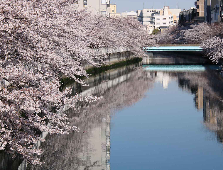 イメージ写真