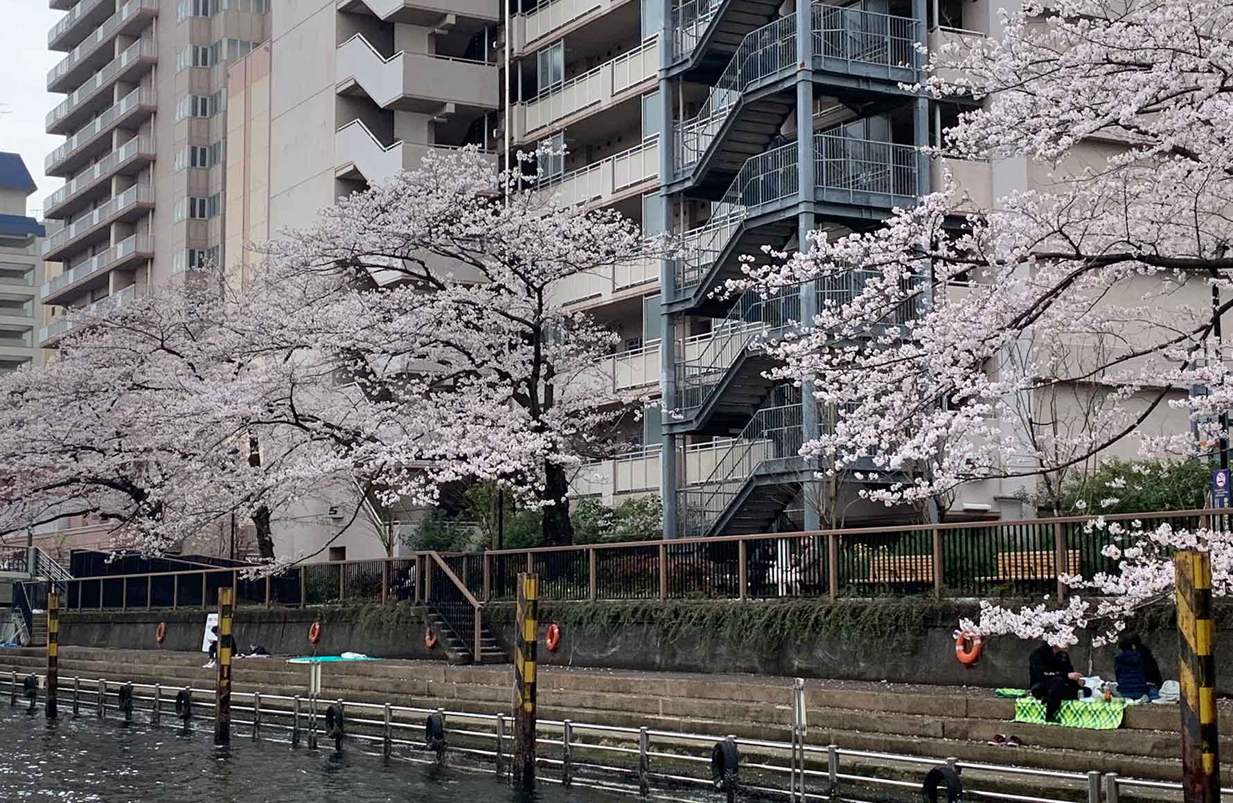 イメージ写真