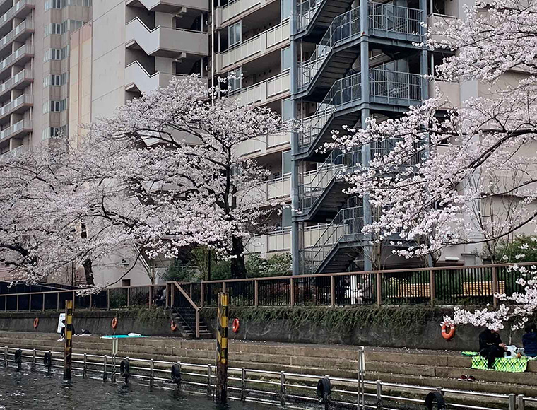 イメージ写真