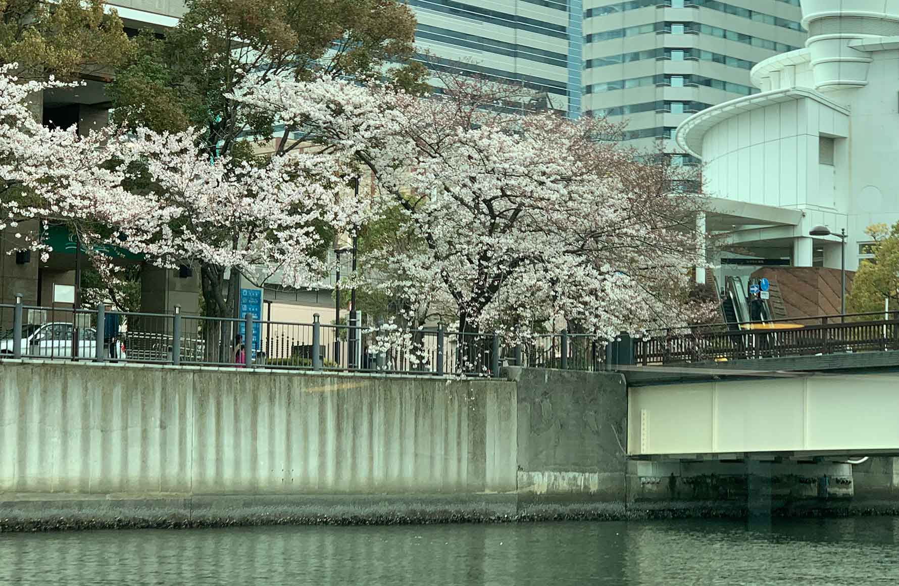 イメージ写真