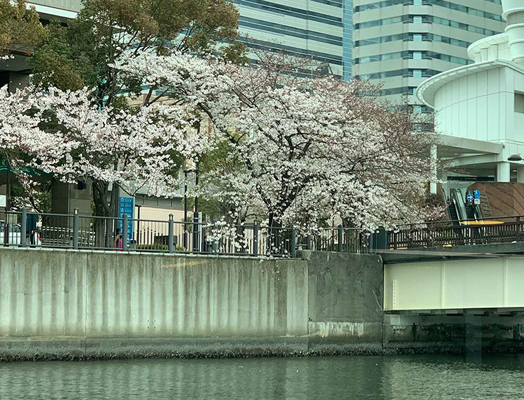イメージ写真