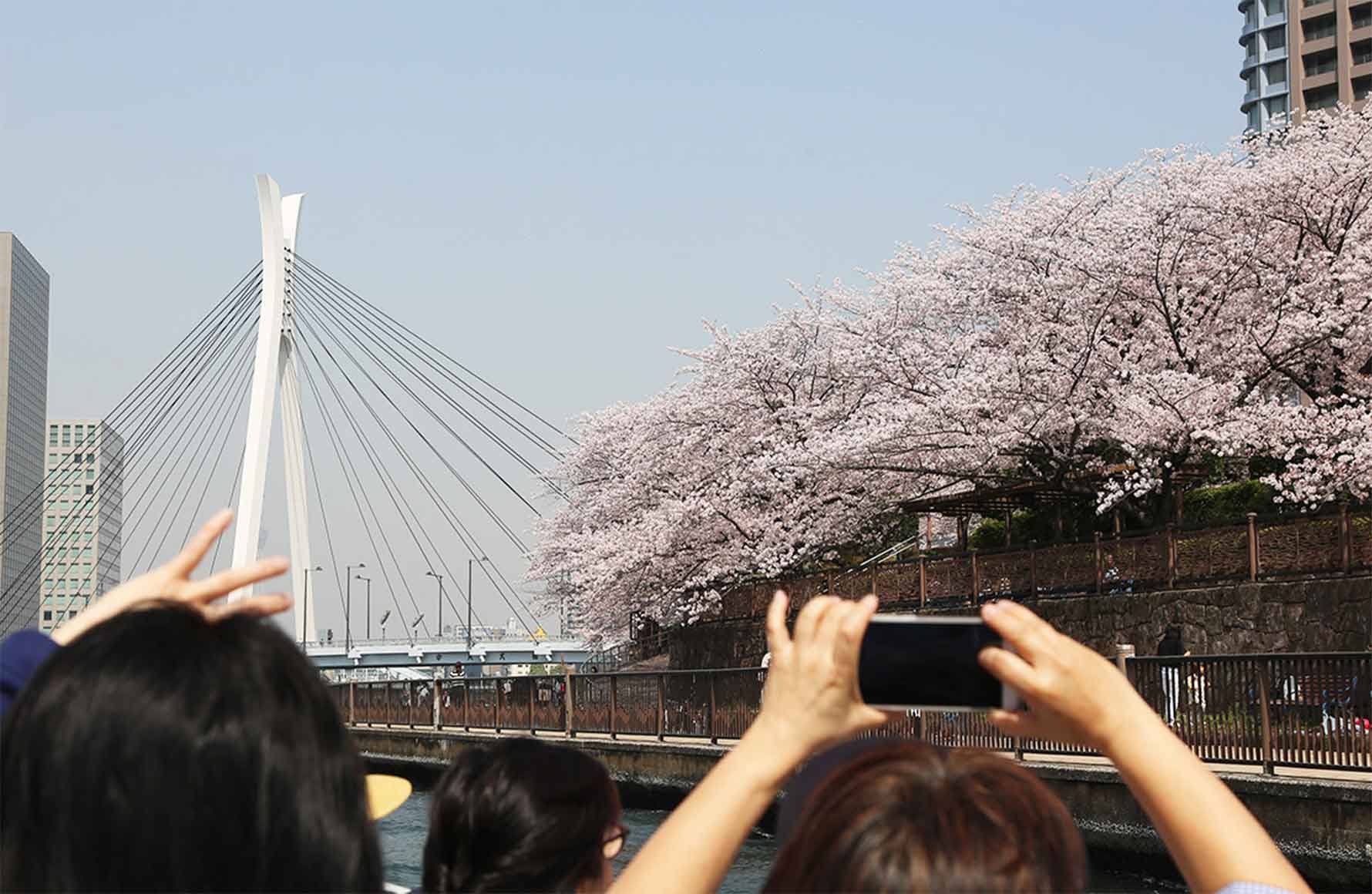 イメージ写真